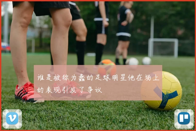 谁是被称为蠢的足球明星他在场上的表现引发了争议