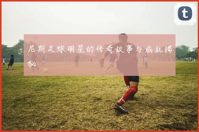 尼斯足球明星的传奇故事与成就揭秘