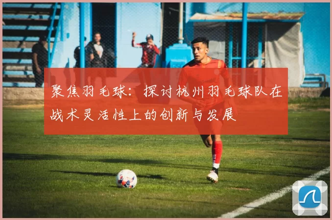 聚焦羽毛球：探讨杭州羽毛球队在战术灵活性上的创新与发展