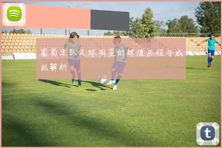 葡萄牙队足球明星的辉煌历程与成就解析