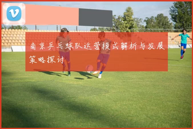 南京乒乓球队运营模式解析与发展策略探讨