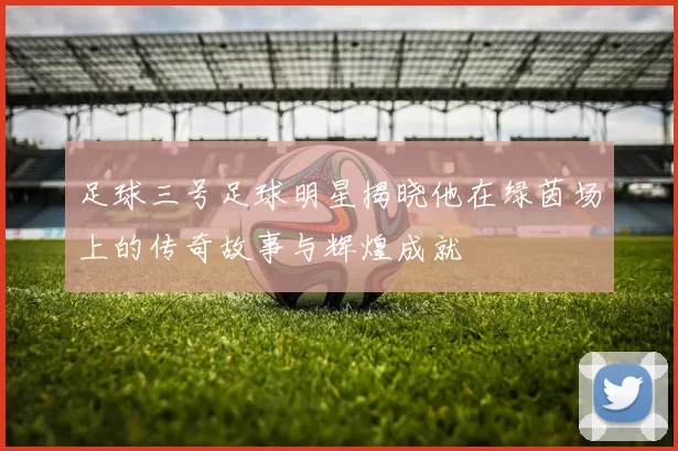 足球三号足球明星揭晓他在绿茵场上的传奇故事与辉煌成就