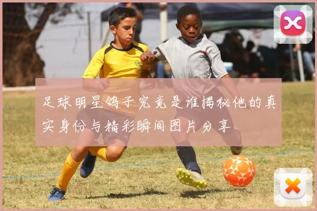 足球明星鸽子究竟是谁揭秘他的真实身份与精彩瞬间图片分享