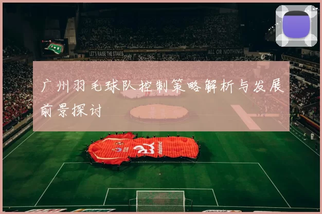 广州羽毛球队控制策略解析与发展前景探讨