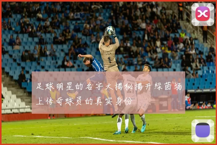 足球明星的名字大揭秘揭开绿茵场上传奇球员的真实身份