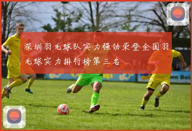 深圳羽毛球队实力强劲荣登全国羽毛球实力排行榜第三名