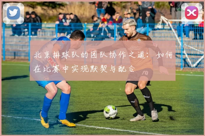 北京排球队的团队协作之道：如何在比赛中实现默契与配合