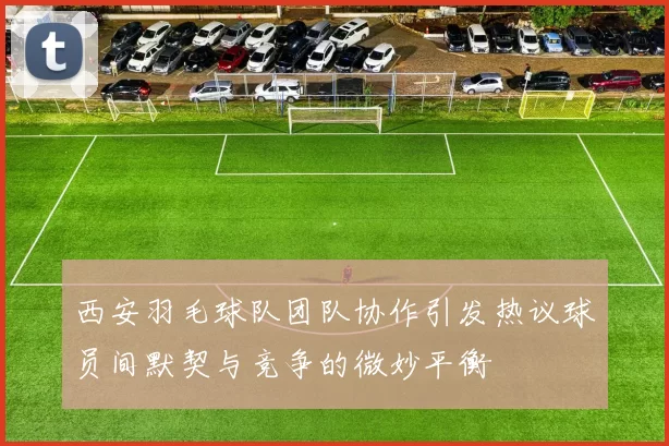 西安羽毛球队团队协作引发热议球员间默契与竞争的微妙平衡