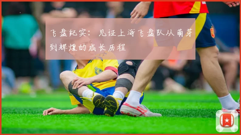 飞盘纪实：见证上海飞盘队从萌芽到辉煌的成长历程