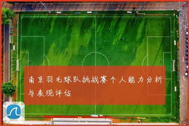 南京羽毛球队挑战赛个人能力分析与表现评估