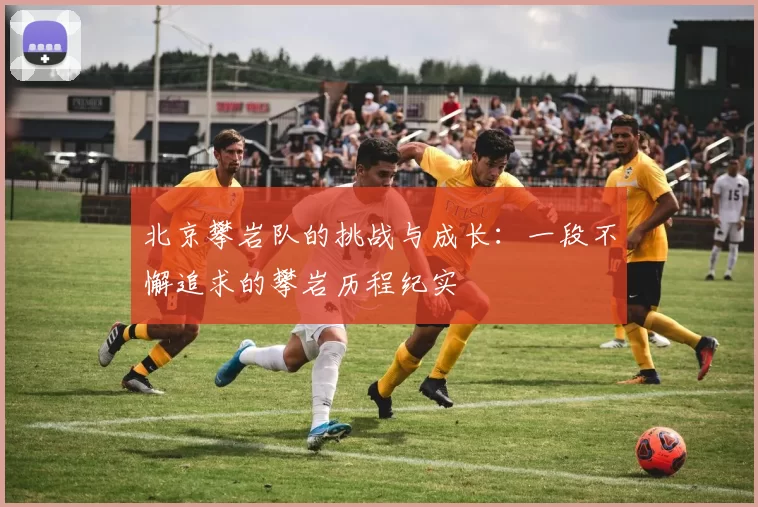 北京攀岩队的挑战与成长：一段不懈追求的攀岩历程纪实