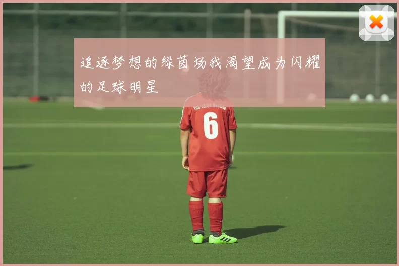 追逐梦想的绿茵场我渴望成为闪耀的足球明星
