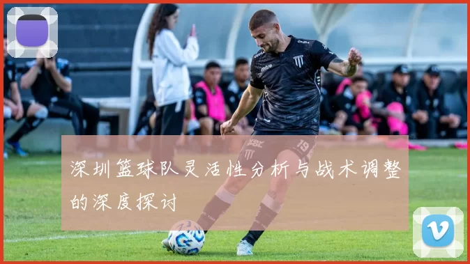 深圳篮球队灵活性分析与战术调整的深度探讨