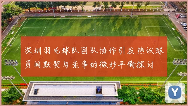 深圳羽毛球队团队协作引发热议球员间默契与竞争的微妙平衡探讨