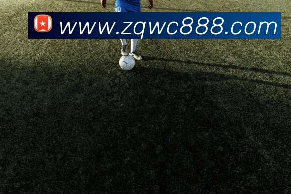 奖项1